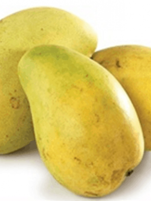 Langra Mango